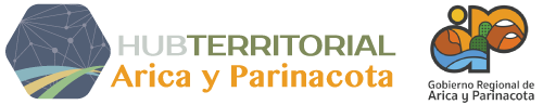 Hub Territorial Arica y Parinacota
